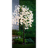 Weeping Cherry Tree 84 LED Lights, 6' - A. Dodson's