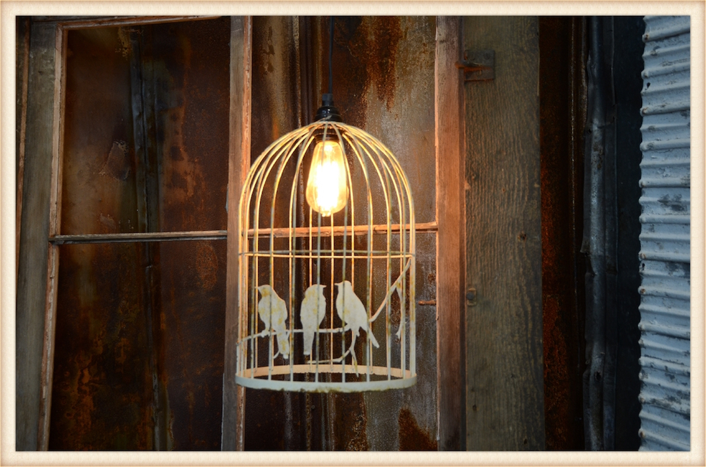 Gorgeous Bird Cages for Stunning Home Decor
