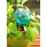 Embossed Glass Plant Watering Globe with Terracotta Spike, Spring, 4 Colors - A. Dodson's