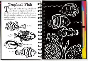 SCRATCH & SKETCH UNDER THE SEA TRACE ALONG - A. Dodson's