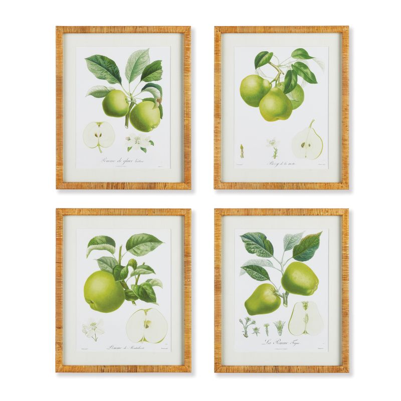 FRUIT STUDY, SET OF 4 BY NAPA HOME & GARDEN - A. Dodson's