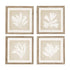 SEAWEED PETITE PRINTS, SET OF 4 BY NAPA HOME & GARDEN - A. Dodson's