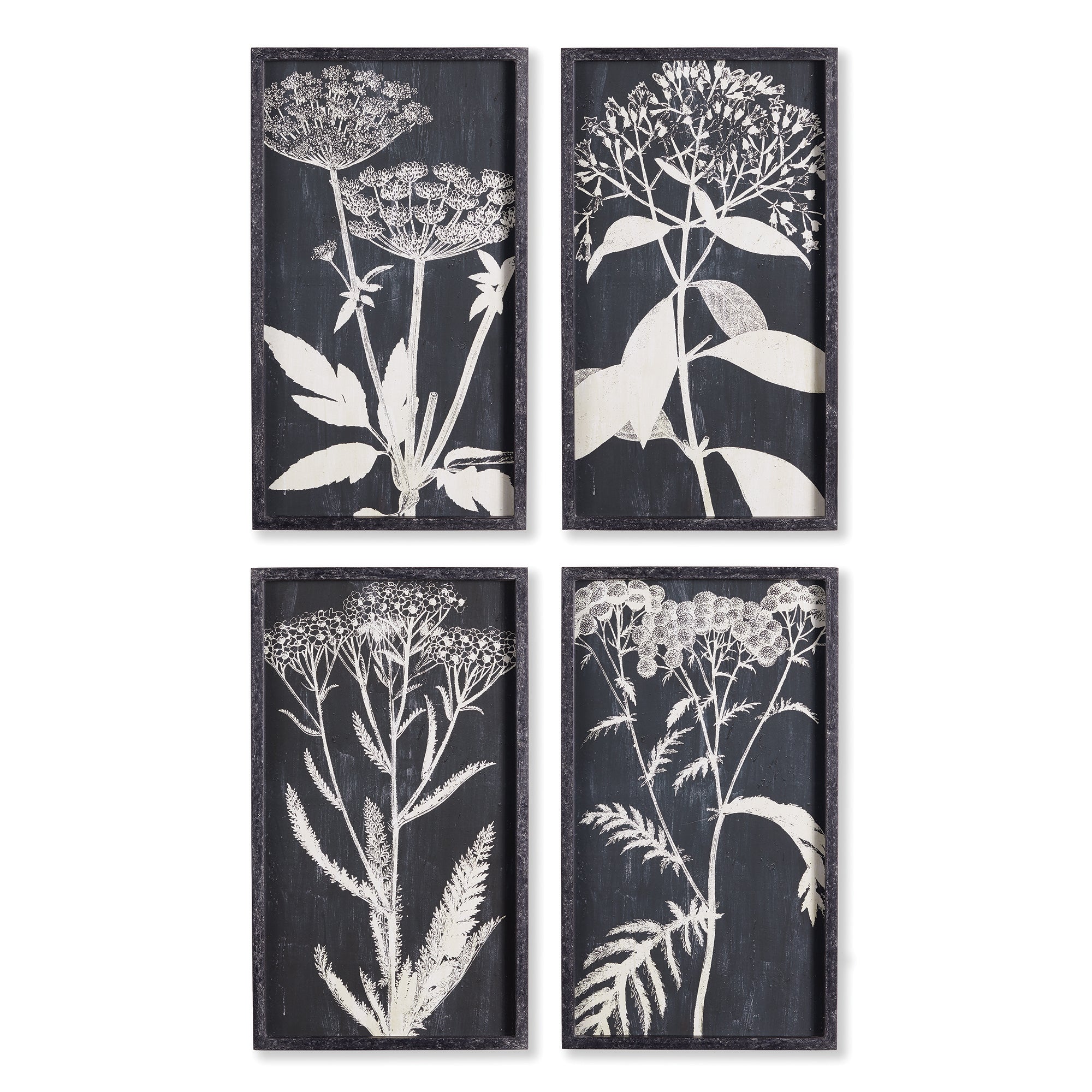 MONOCHROME QUEEN ANNE'S LACE PRINTS, SET OF 4 BY NAPA HOME & GARDEN - A. Dodson's