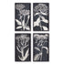 MONOCHROME QUEEN ANNE'S LACE PRINTS, SET OF 4 BY NAPA HOME & GARDEN - A. Dodson's