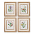 GARDEN BOTANICAL PRINTS, SET OF 4 BY NAPA HOME & GARDEN - A. Dodson's