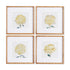 CHRYSANTHEMUM PRINTS, SET OF 4 BY NAPA HOME & GARDEN - A. Dodson's