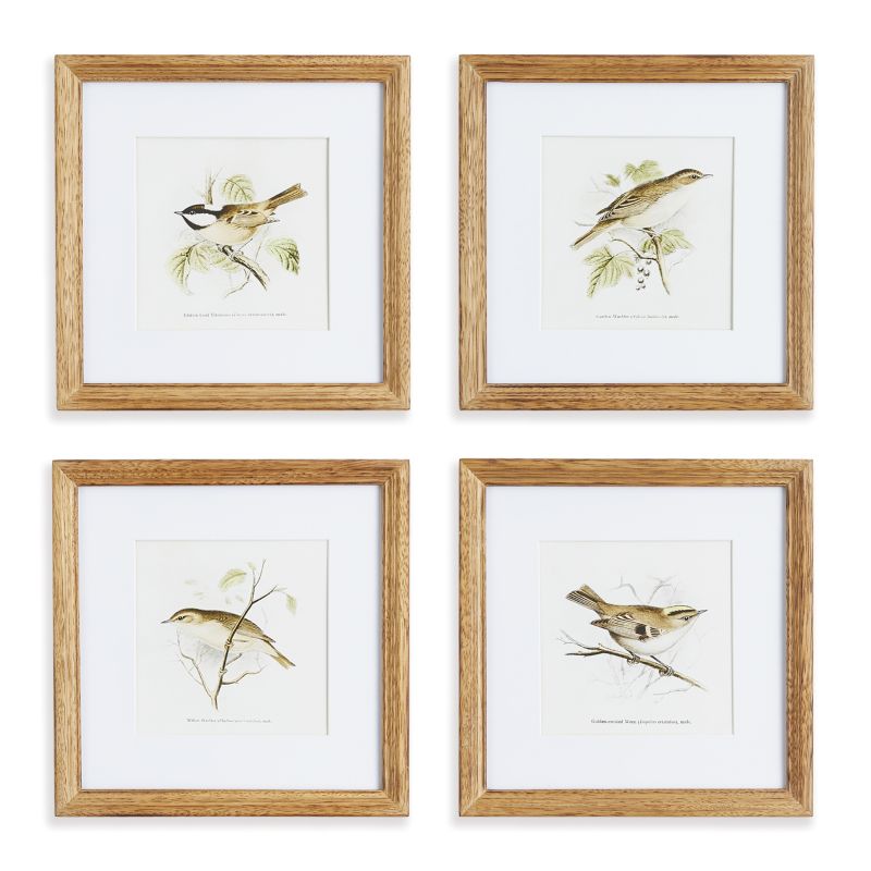 PERCHING BIRD STUDY PETITE, SET OF 4 BY NAPA HOME & GARDEN - A. Dodson's