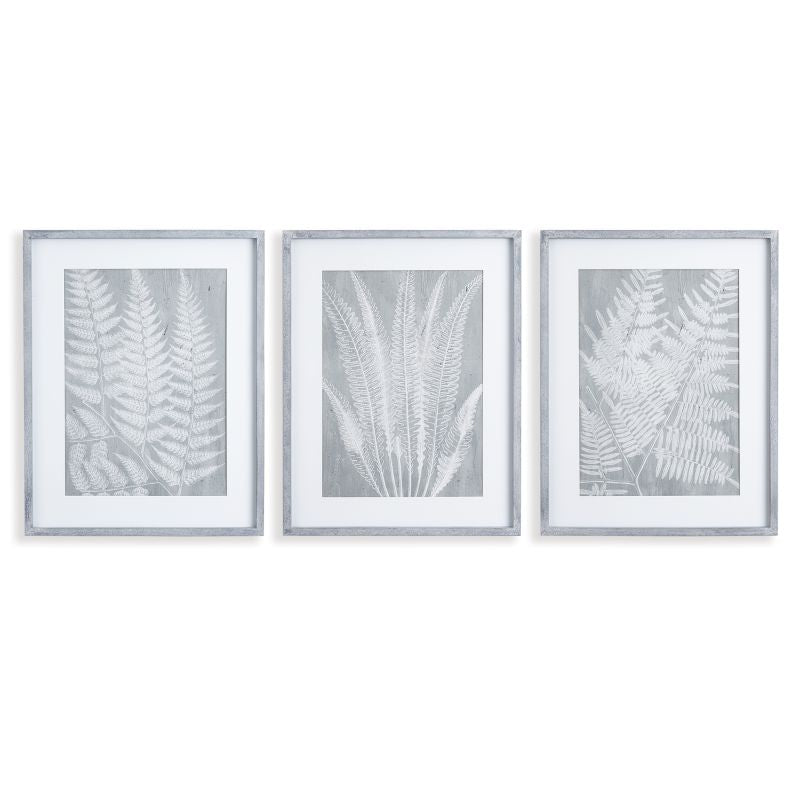 FERN FROND PRINTS, SET OF 3 BY NAPA HOME & GARDEN - A. Dodson's