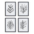 SKETCHED LEAF PRINTS, SET OF 4 BY NAPA HOME & GARDEN - A. Dodson's