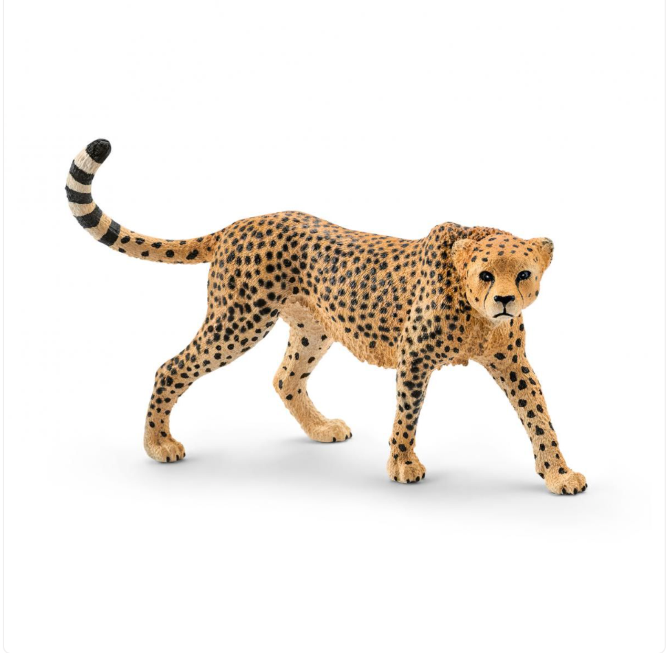 FEMALE CHEETAH BY SCHLEICH - A. Dodson's