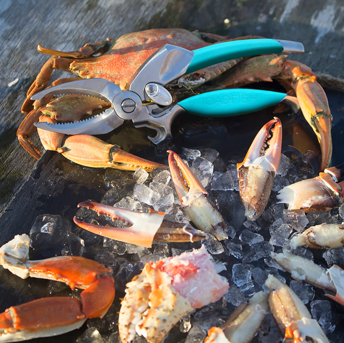 Crab Claw Cutter