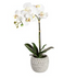 18" Artificial Orchid in Ceramic Pot Table Décor, 2 Colors