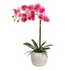 18" Artificial Orchid in Ceramic Pot Table Décor, 2 Colors