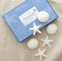 Starfish and Sea Urchin Set of 6 Sea Mist Scented Soaps - A. Dodson's