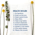 TEA TOWEL: BEACH RULES - A. Dodson's