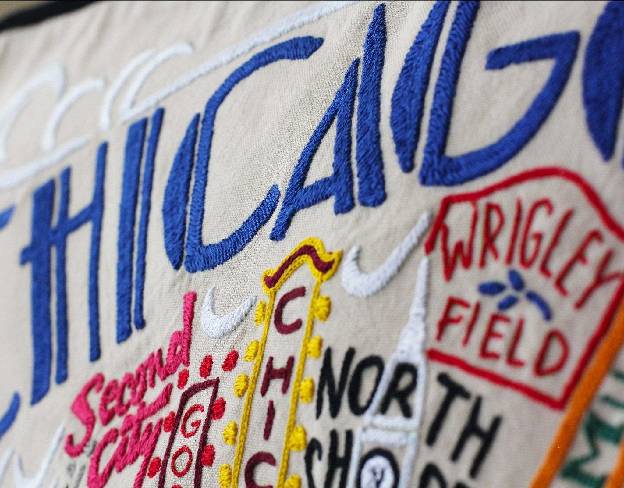 CHICAGO PILLOW BY CATSTUDIO - A. Dodson's