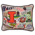 UNIVERSITY OF ILLINOIS PILLOW BY CATSTUDIO - A. Dodson's