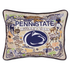 PENN STATE PILLOW BY CATSTUDIO - A. Dodson's