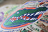 UNIVERSITY OF FLORIDA PILLOW BY CATSTUDIO - A. Dodson's