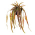 RHIPSALIS DROP-IN 23" BY NAPA HOME & GARDEN