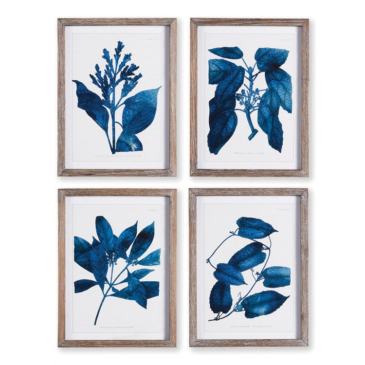 INDIGO BOTANICALS, SET OF 4 BY NAPA HOME & GARDEN - A. Dodson's