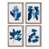 INDIGO BOTANICALS, SET OF 4 BY NAPA HOME & GARDEN - A. Dodson's