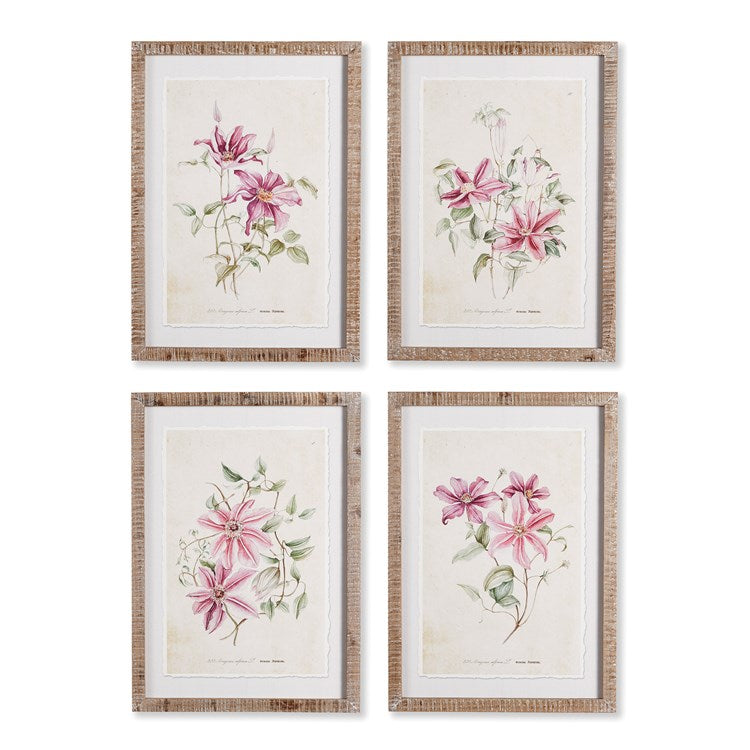 PINK CLEMATIS PRINTS, SET OF 4 BY NAPA HOME & GARDEN - A. Dodson's