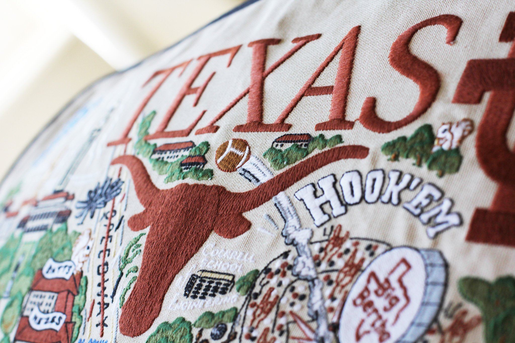 UNIVERSITY OF TEXAS PILLOW BY CATSTUDIO - A. Dodson's